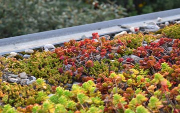 the cost of Wholeflats green roof installation