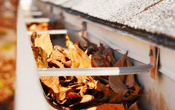 Wholeflats gutter cleaning companies