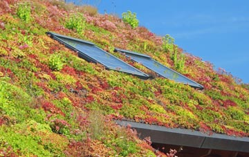 Wholeflats living roof systems