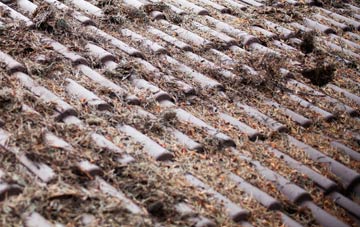 Wholeflats roof cleaning companies