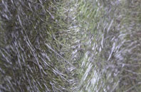 Wholeflats fibreglass roof work